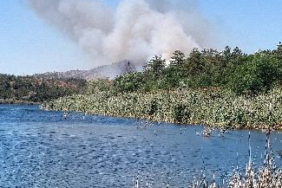 52FBB239 3715 4A8B 8F71 EB348124D61C