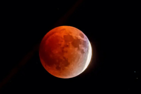 75054A97 E597 4526 BE52 6EEDC4B11C29