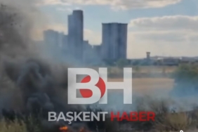 WhatsApp Image 2025 09 03 at 16.44.34