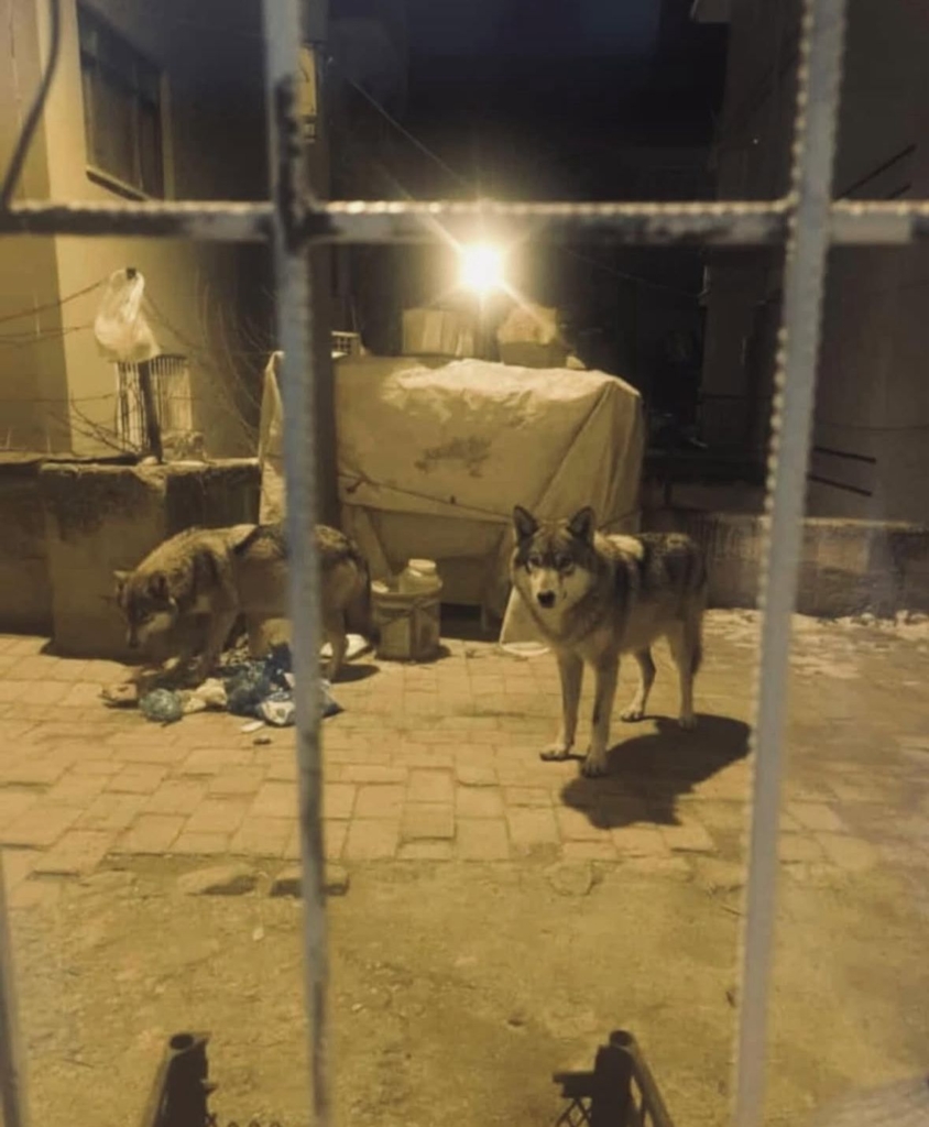 WhatsApp Image 2026 01 01 at 09.37.23