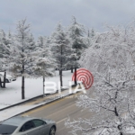 WhatsApp Image 2026 02 25 at 12.49.43