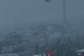 WhatsApp Image 2026 04 10 at 12.37.05