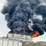 WhatsApp Image 2026 04 11 at 16.34.34