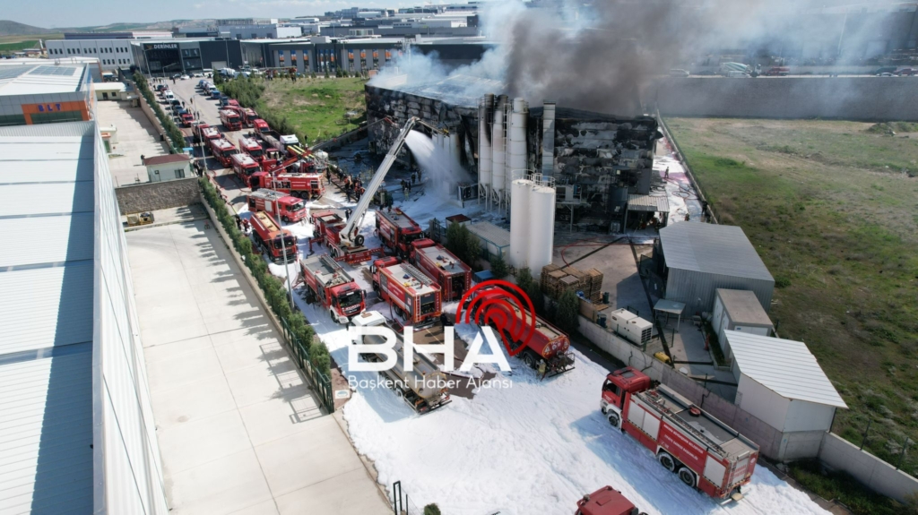 WhatsApp Image 2026 04 20 at 12.18.19