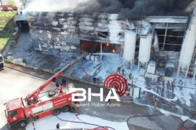 WhatsApp Image 2026 04 20 at 12.27.36